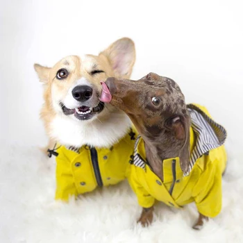 2020 Novega Ljubljenčka, Psa dežni Plašč Nepremočljiva, Windproof Oblačila za Pse malih In Srednje Velikih Pes Chihuahua Pug francoski Buldog Pet Jakna
