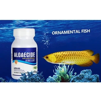 50 g Akvarij Algaecide Voda Alge Nadzor Fish Tank Moss Odstranjevalec Detergent Fish Tank Cleaning Tool Hišne Ribe Pribor J99Stor