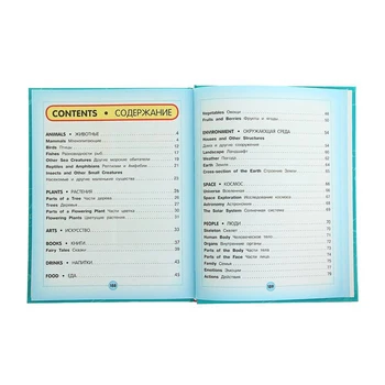 Angleško-ruski visual slovar za otroke