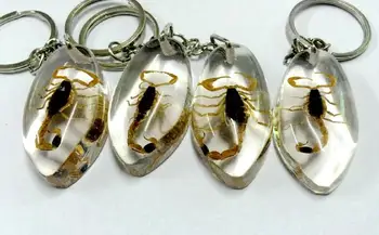 BREZPLAČNA DOSTAVA 12 kos ročno ovalne zlato scorpion slog očarljivo keychain