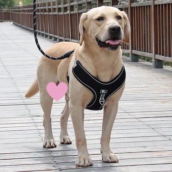 Dihanje Big Dog Pas Reflektivni Pet Telovnik Pas z Vrvici Mehko Prsih Trak Pas za Psa Labrador Hoja Psa Dobave