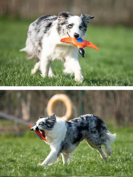 GIGWI Igrače za Hišne živali, ki Plujejo pod Povlek Serije Leteči krožniki Raca Diski Pes Usposabljanja Igrača TPR materiala nestrupeno Interaktivna Igrača za psa Kuža