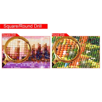 Novo Polno diamond vezenje mozaik diamond navzkrižno šiv Needlework diamond slikarstvo 5D diy živali veverica slika Domov LK1