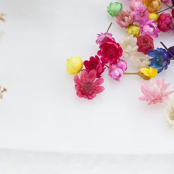 Posušeno Cvetje 100 kozarcev Daisy Cvet Glavo Suhe Rastline za Epoksi Smolo, Ogrlico, Obesek, Nakit, Izdelava Obrti DIY Nail Art Pripomočki