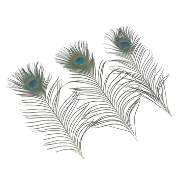 Vrhunska pav perje dolžina 40-45 CM čudovite naravne pav pero Diy nakit, Okrasni Deco pribor