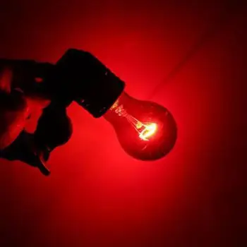 100W Hišne Ogrevanje Žarnice E27 Plazilcev Daleč Infrardeče Ogrevanje Žarnice Dvoživk Kača, Želva UVA Svetlobe 110v