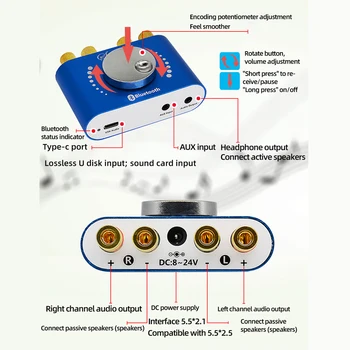 20 W+20 W Mini Ojačevalnik Bluetooth 5.0 Zvočniški Digitalne Zvočne Moči Razred D 30W~200W HiFi Stereo USB Glasbo, Zvočne Kartice App AMP