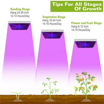 2000W 225 LED Grow Light Hydroponics Kit Rastejo Svetlobe Rastlin, Rastlinskih Cvet Lučka Zaprtih Rastlin Lučka za Osvetlitev