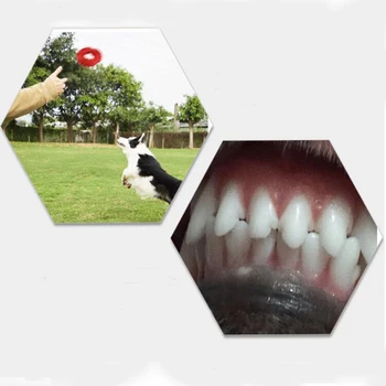 2020 Najboljše Ardemer Gume Dolgotrajno Piu Priporočljivo Pes Žvečiti Igrače Nezlomljiv Poceni Cene za Zdravje zob