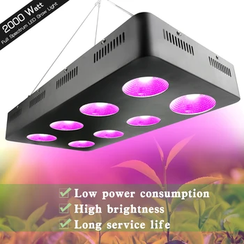 500W/1000W/1500W/2000W COB LED Grow Light Celoten Spekter za uporabo v Zaprtih prostorih Toplogrednih Hydroponics Cvetje Medicinske Rastejo Šotor LED Luči