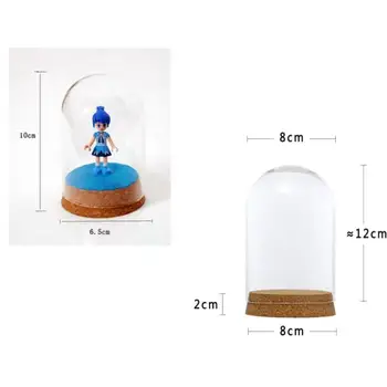 8x12 in 6.5x10cm Počistite Zaslon iz Stekla, Dome Kritje Cloche Bell Jar Sočna Terariji z Lesa, Plute za Office Tabela Dekor DIY