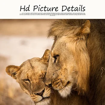 Divje Afrike Lev Sin Živali Skandinavske Pokrajine Platno Slikarstvo Plakatov in Fotografij Cuadros Stenskih slikah, za dnevno Sobo