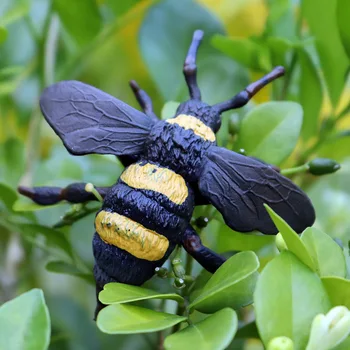 Oenux 10PCS Insektov, Živali Model Metulj Kobilica Čebel Ant Bogomolke figuric Figur Miniaturni Izobraževalne Igrače Za Otroke
