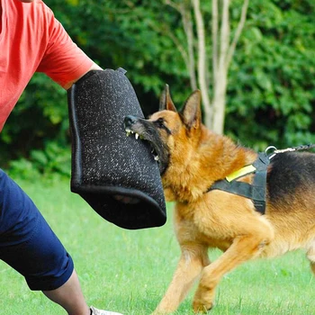 Pes Ugriznil Roko Varstvo Rokav Pet Usposabljanje Grize Orodje Za Srednje Velike Policija Nemški Ovčar Pitbull Dodatki Potrebščine