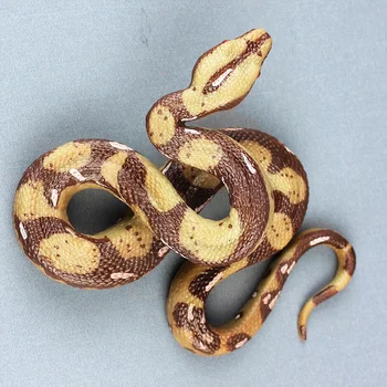 Simulacija Python Kača Živali Slika trdna divje živali biološki model otroci igrače zbirka