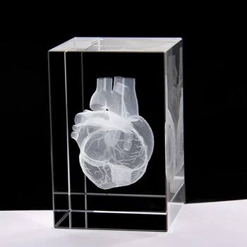 Visoka Kakovost 3D lasersko Graviranje Srce Organ Kristalno Kocko, ki je Doma za Mizo Dekoracijo medicinske znanosti trgovina s Spominki, Darila