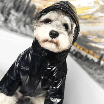 Zimski Modni Oblačila Za Pse, Toplo Pes Navzdol Jakno Barvno Ujemanje Pug Chihuahua Francoski Buldog Hooded Nepremočljiva Oblačila Kuža Plašč