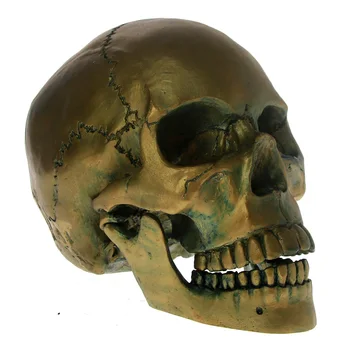 1:1 Življenju Velikost Bronasto Skull Glave S Premično Čeljusti Starinsko Okostje Glavo Kiparstvo Halloween Grozo Decoraiton Prestrašiti Številke Darilo
