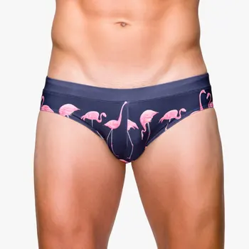 2020 Gay Kopalke Moških Push Up Mavrica Plavanje Hlačnic Trunks Moški Seksi Spodnje Perilo, Kopalke, Kopalke Suring Bikini Plaža Hlače