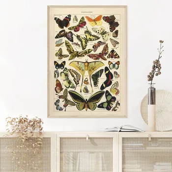 Ličinke Insektov Letnik Plakat Papillons Tiskanja Platno Slikarstvo Biologijo Izobraževanje Wall Art Sliko Sodobnega Študija Soba Dekoracijo