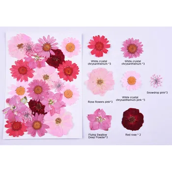 New Vroče Stisnjene Cvet Posušeno Cvetje DIY Umetnostne Obrti Scrapbooking Dekor Večnamensko SMD66
