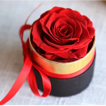 Večno Rose v Polju Konzervirane Pravi Rose Cvetje Z Box Set Romantično valentinovo, Darila Najboljše materinski Dan Darilo Debelo