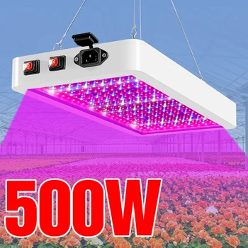 WENNI 220V LED Grow Light 300W 500W Celoten Spekter Ffs Lučka Za Rastline Šotor Cvet Sejanje Rastejo Polje EU Plug LED raste Lučka