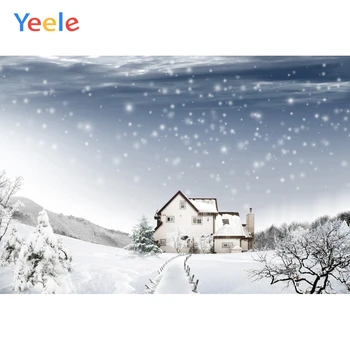 Yeele Pozimi Sneg Scene, Luči, Bokeh Drevo, Gozd Fotografija Kulise Osebno Fotografske Okolij Za Foto Studio