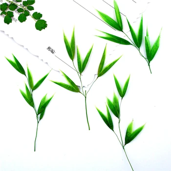 5-8 cm/16pcs,Naravne Pritisnete Zeleni listi Bambusa,Večno Pravega Bambusa za DIY Zaznamek darilno Kartico,sveča božični okraski