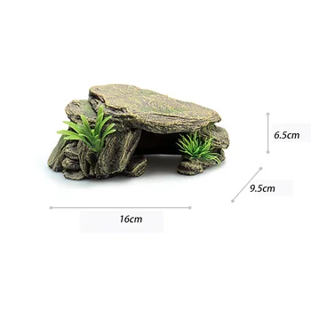 Akvarij Smolo Dvoživke Tortoise Uživala Otok Želv Vzpon Platformo Tank Vode Kamen Rock Plazilcev Jama Lestev Dekoracijo