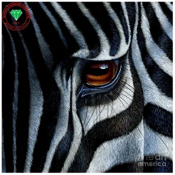 Diy diamond slikarstvo navzkrižno šiv diamond vezenje Živali Zebra celoten kvadratni diamanti mozaik slike okrasnih diy kit