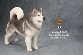 G. Ž 1/6 Št 032 Obsega Simulacije Živali pes Alaskan Malamute Model Otroci Igrače Darilo Model F 12