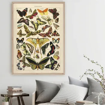 Ličinke Insektov Letnik Plakat Papillons Tiskanja Platno Slikarstvo Biologijo Izobraževanje Wall Art Sliko Sodobnega Študija Soba Dekoracijo