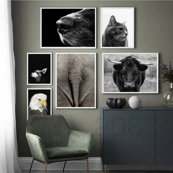 Mačka, Konj Jaka Orel Slon Kozje Živali Nordijska Plakatov in Fotografij Wall Art Platno Slikarstvo Stenske Slike Za Dnevna Soba Dekor