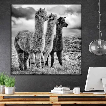 Modni Črni in Beli Lame Poster Živali Platno Slikarstvo Alpake Plakatov in Fotografij Stenskih slikah, Za Dnevna Soba Dekor