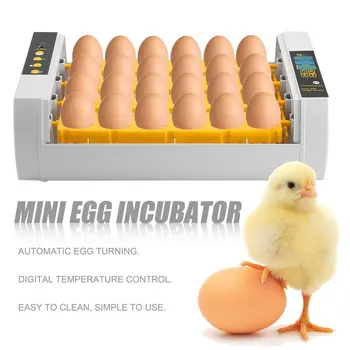 Nove Velike Zmogljivosti Praktično 24 Jajca Mini Inkubator Za Piščanca Perutnine Prepelice Turčija Jajc Doma, Uporabi Samodejno Jajce Obračanja EU plug