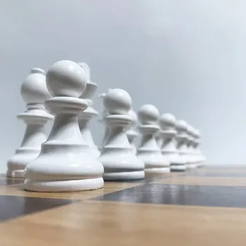 Novo Šah Lesena Tla Professional Chess set