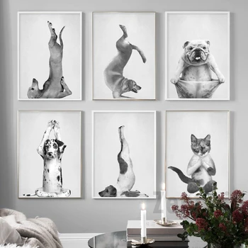 Ples, Joga, Nordijska Platno Slikarstvo Mačka Pes Opica Wall Art Črno Belih Plakatov In Fotografij Stenske Slike Za Dnevna Soba Dekor