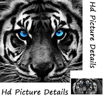 Sodobno Tiskanje Platno Umetnosti Črni in Beli Tiger Glavo Barvanje Sten Umetnosti Plakatov Živali v slikah, za dnevno Sobo Cuadros Dekor