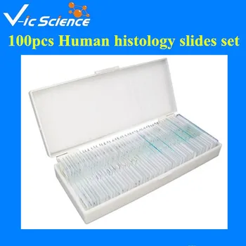 Strokovno 100 KOZARCEV Človekovih histologijo strani nastavite Histologijo tkiva pripravljeni strani