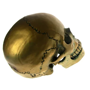 1:1 Življenju Velikost Bronasto Skull Glave S Premično Čeljusti Starinsko Okostje Glavo Kiparstvo Halloween Grozo Decoraiton Prestrašiti Številke Darilo