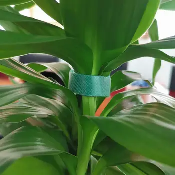 1.5x500cm rastlin povoj najlon ultra-tanek prilepite upravljanje kablov svjetlovodni ščetinami kravato kabel