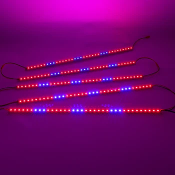 5pcs/veliko 50 cm DC12V LED 10W Trakovi za Rastline Rastejo Svetlobe Rast Palice Rdeča+Modra Ffs Lučka Za Cultivo Zaprtih Hydroponics Semena