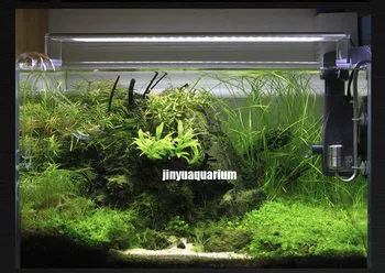 Chihiros ADA slog Rastlin raste svetlobe LED, serija mini nano kratek akvarijske vode, rastlin fish tank kovinski nosilec za sončni vzhod zahod