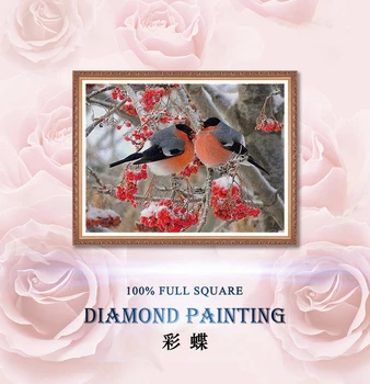 Diamond Slikarstvo Diamond vezenje 5d diy celoten kvadratni živali, ptic - diamond mozaik daimond slikarstvo diamond barve