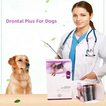 Drontal Plus Za Pse 8/32/104 Tablet (Tapeworm Dewormer za Pse) Strokovni Deworming Nov Datum