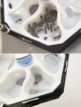 NOVA 3D Tiskanja Ant Farm Vesoljske Postaje z Vlažilno Stolp Neomejeno Širitev Ant Gnezdo Pet Mravljišče Delavnica Design Honeycomb