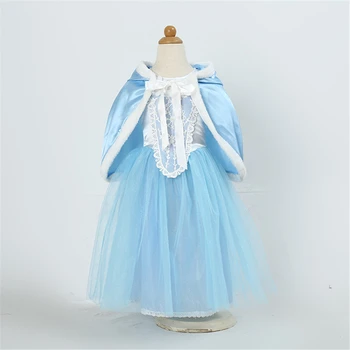 Snežna Kraljica Dekleta Princesa Obleko z Pravljice Hooded Plašč Modre Obleke za Dekleta Otrok Stranka, Cosplay Kostum Elza Frock