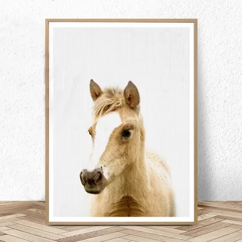 Vrtec Foal Wall Art Živalskega Tiskanje Baby Konj Plakat Platno Umetniško Slikarstvo, Plakatov in Fotografij Otroci, Dojenčki, Spalnica Dekoracijo