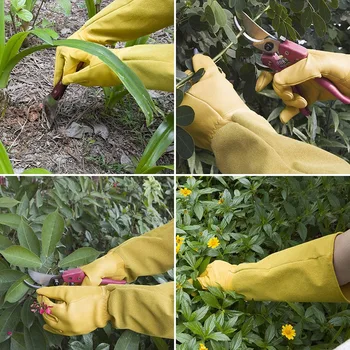 Vrtnarske Rokavice Strokovno Rose Trim in Narežemo Zaščito Rokavice, Delo na Vrtu Rokavice (Rumena)